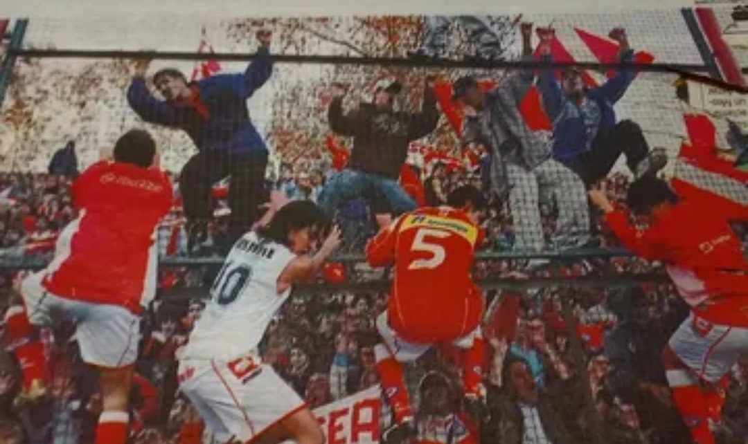 Momentos del bicho tweet media