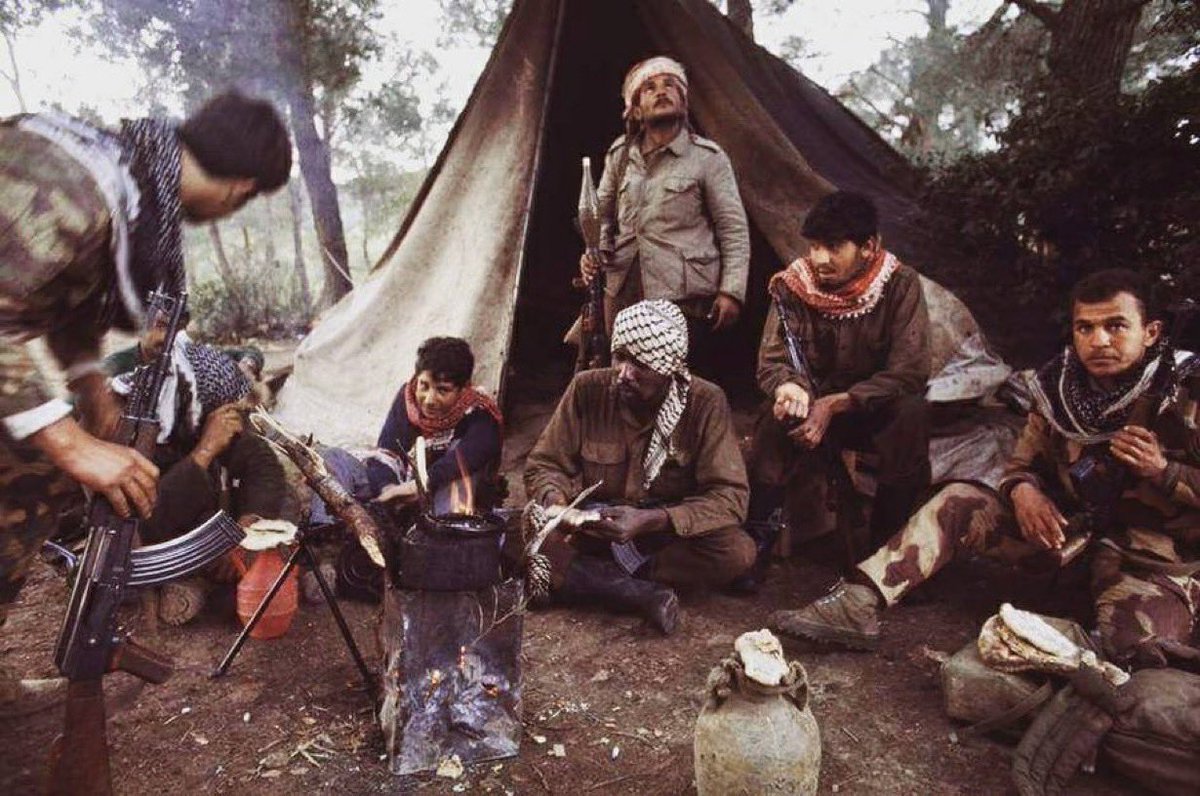 This is world tweet media