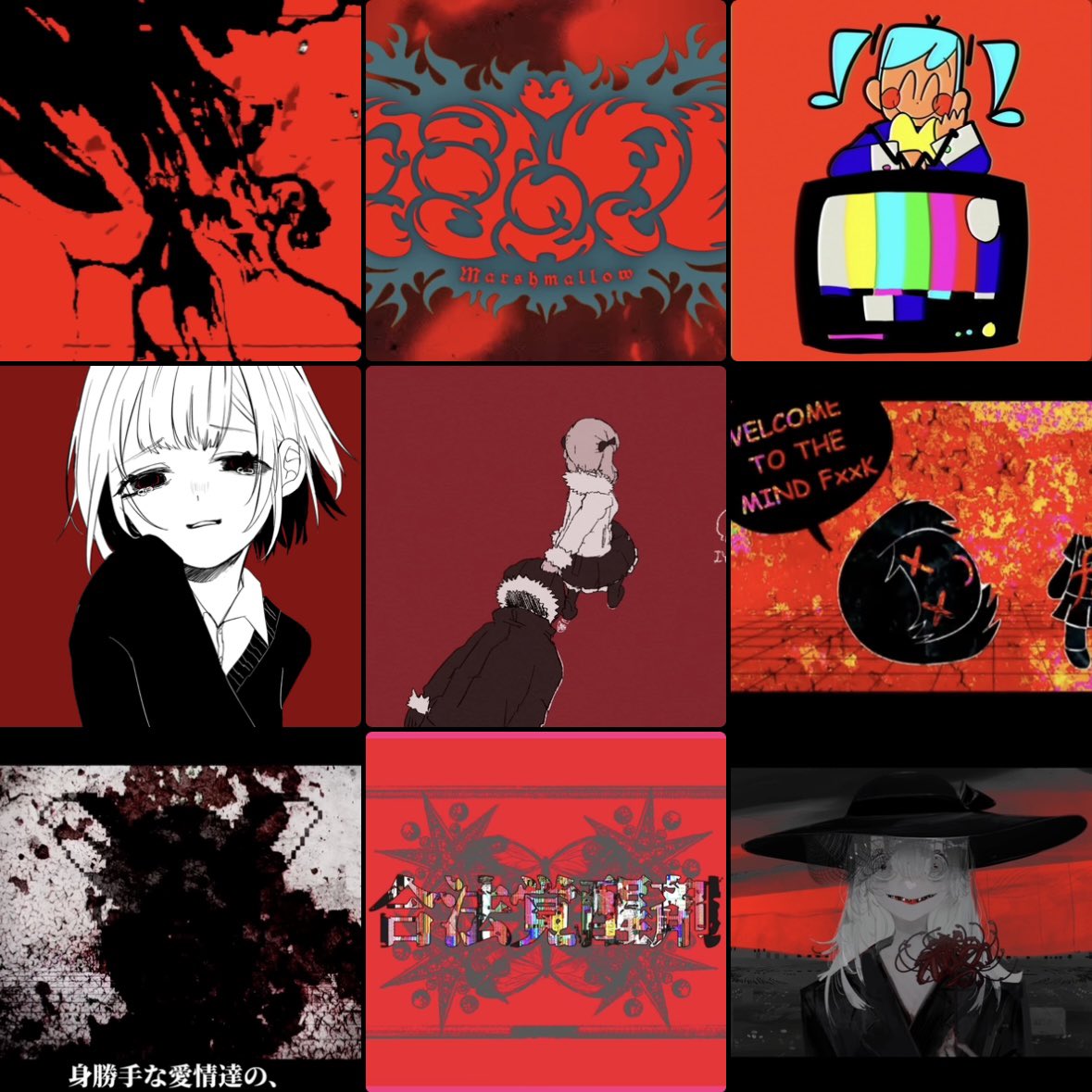 しっこくまる🐾 tweet media