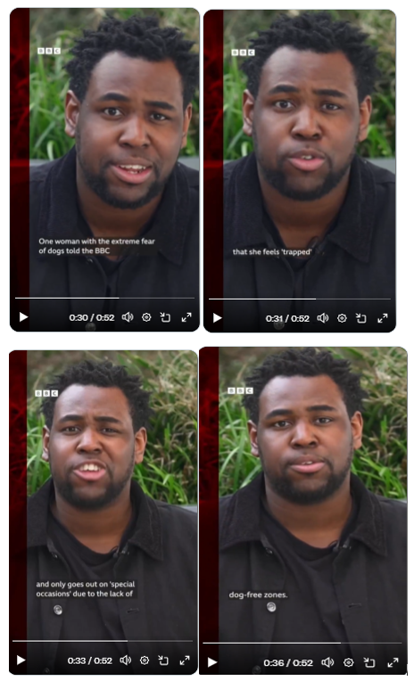 Mirjam152 tweet media