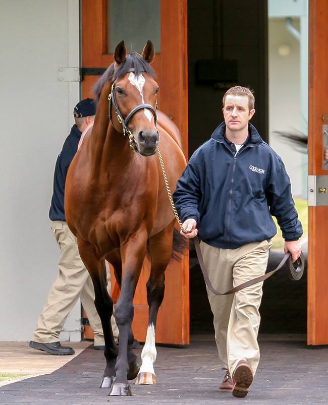 Jess Samy tweet media