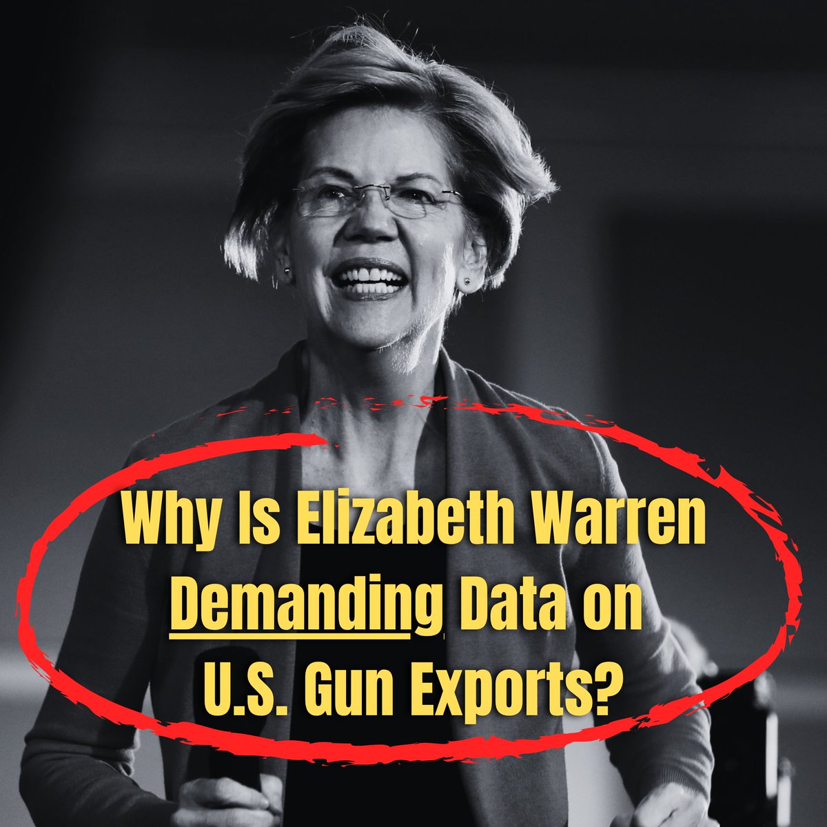 Second Amendment Institute tweet media