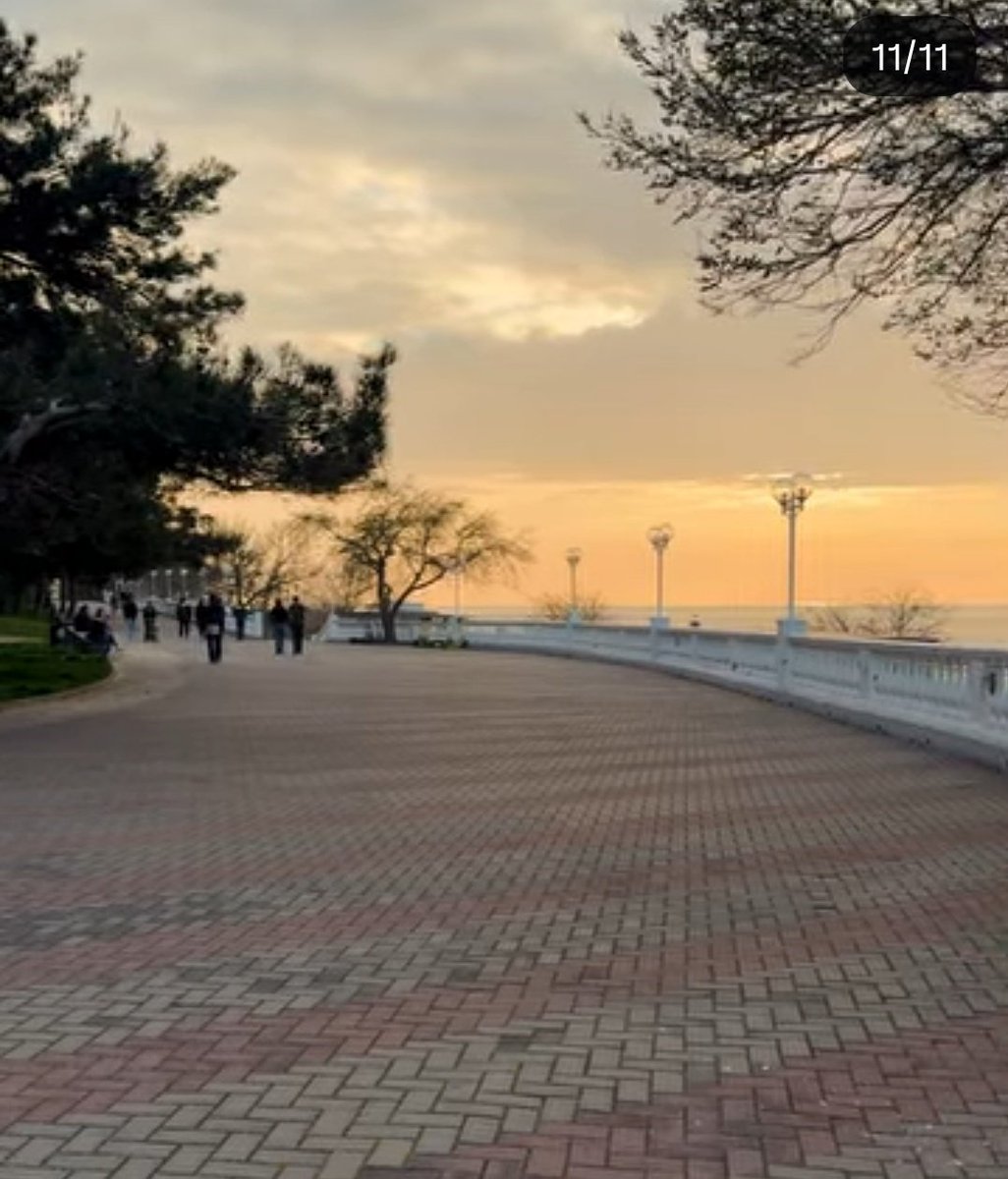 Marina Pogosova tweet media