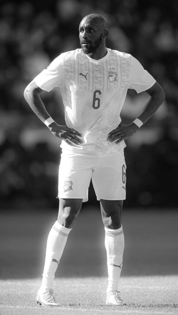 SOUTIENAUXELEPHANTS🇨🇮 tweet media