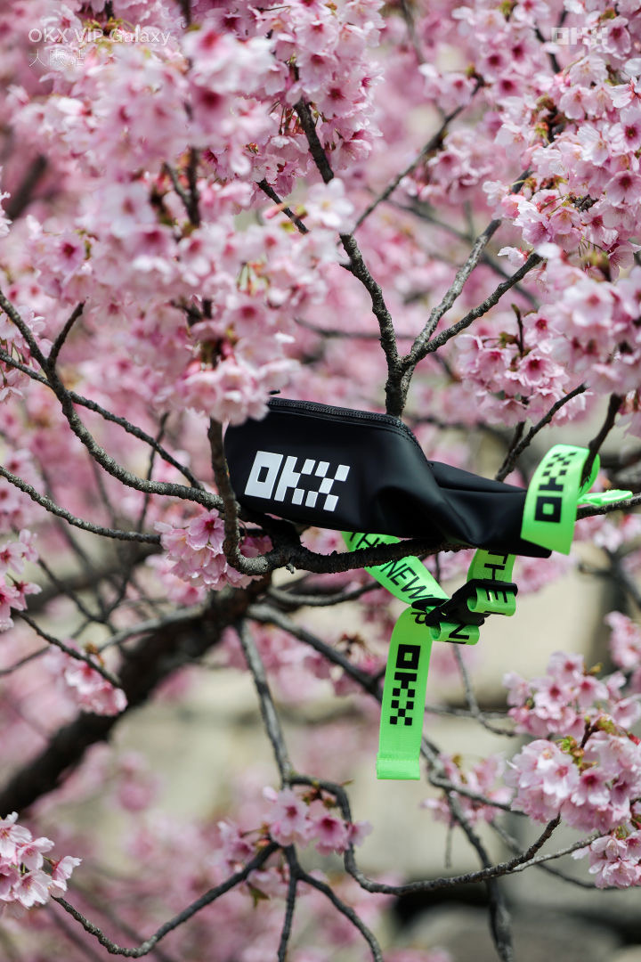 OKX中文 tweet media