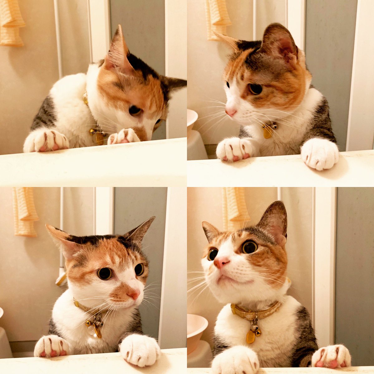 ⓗ hanawaya💭 tweet media