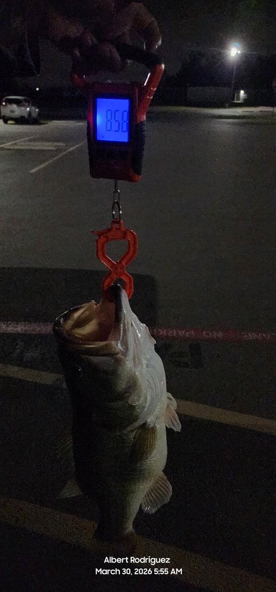 Albert Rodriguez tweet media