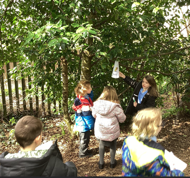 Churwell Primary tweet media