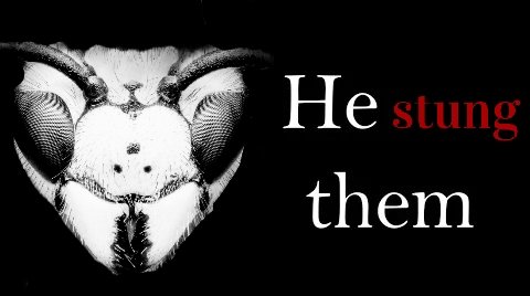 320,000,000 Yellow Jacket Wasps tweet media