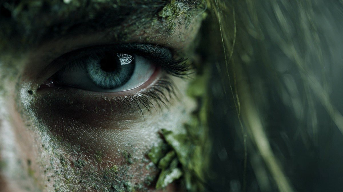 N_Tortoise13's tweet photo. "The Eye Of The Huntress" https://t.co/syGJGyHiWQ
