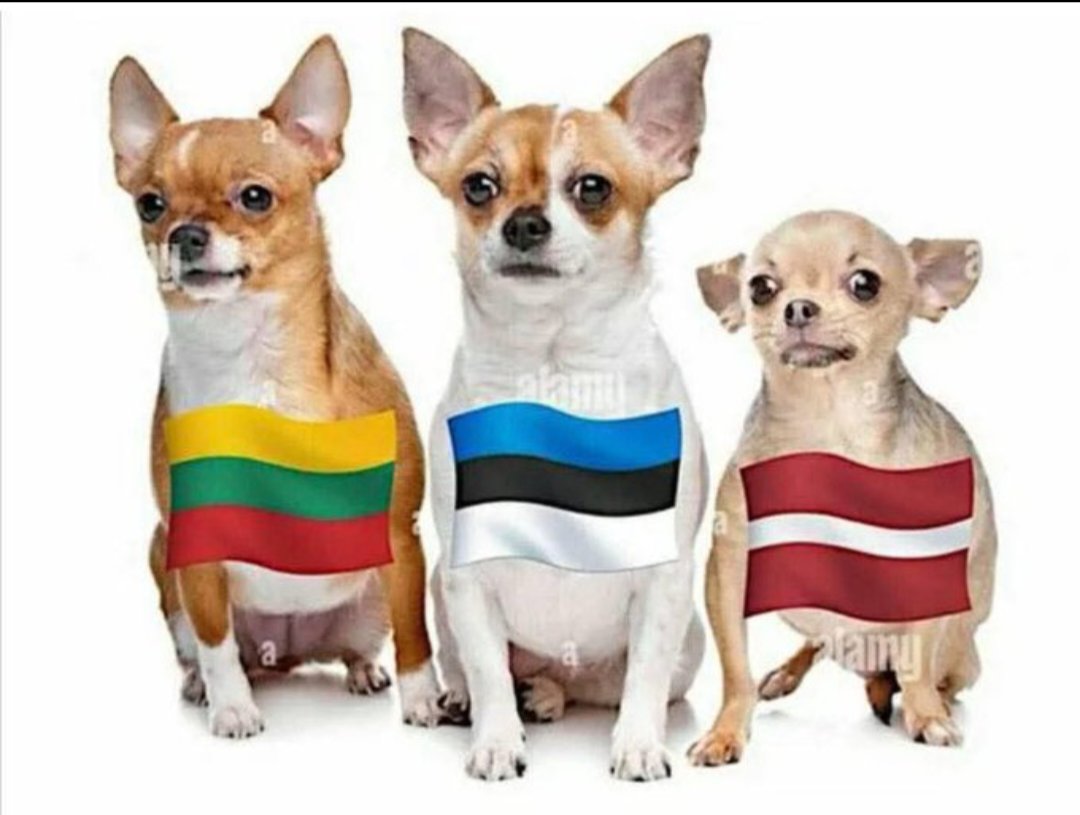 Based Leua tweet media