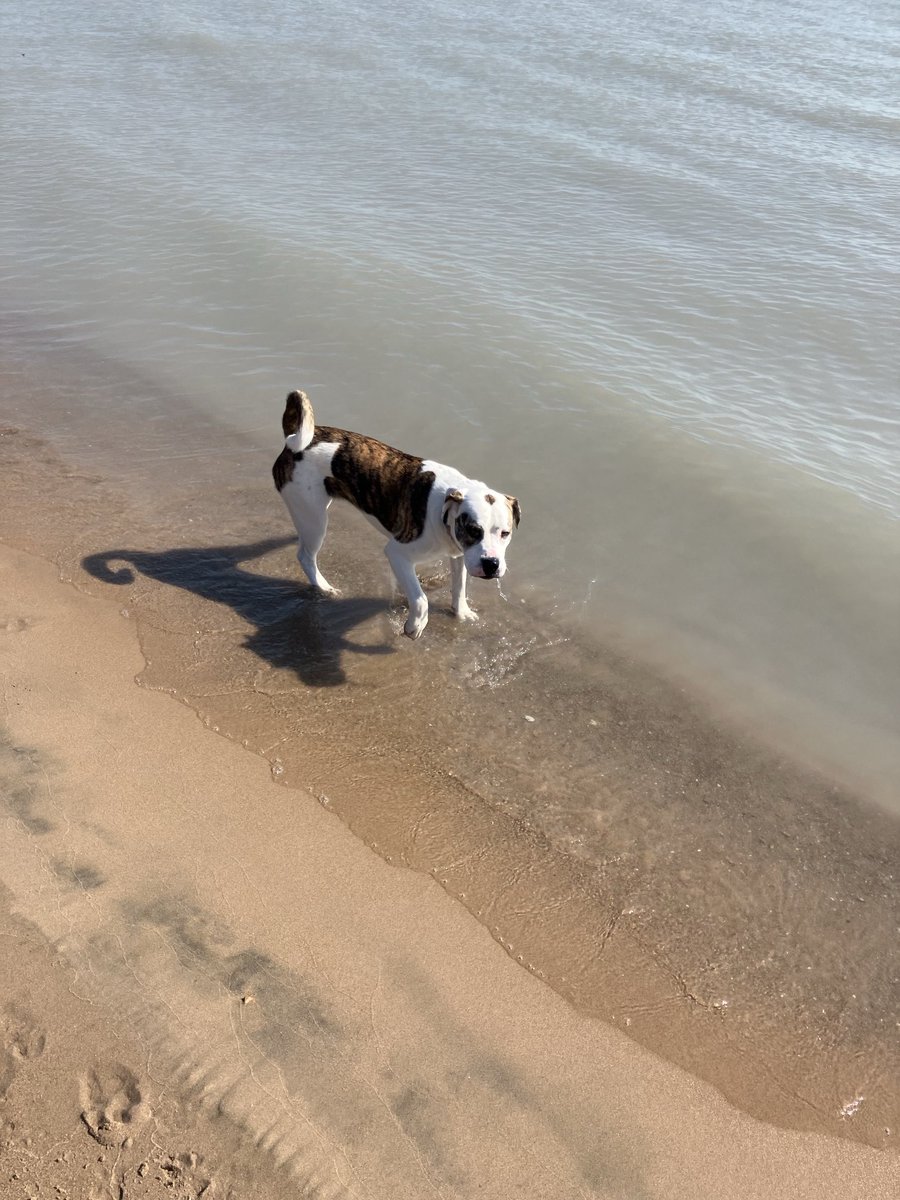 JimiRocks tweet media