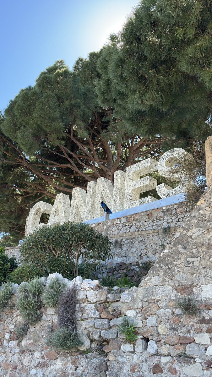 olyadude tweet media