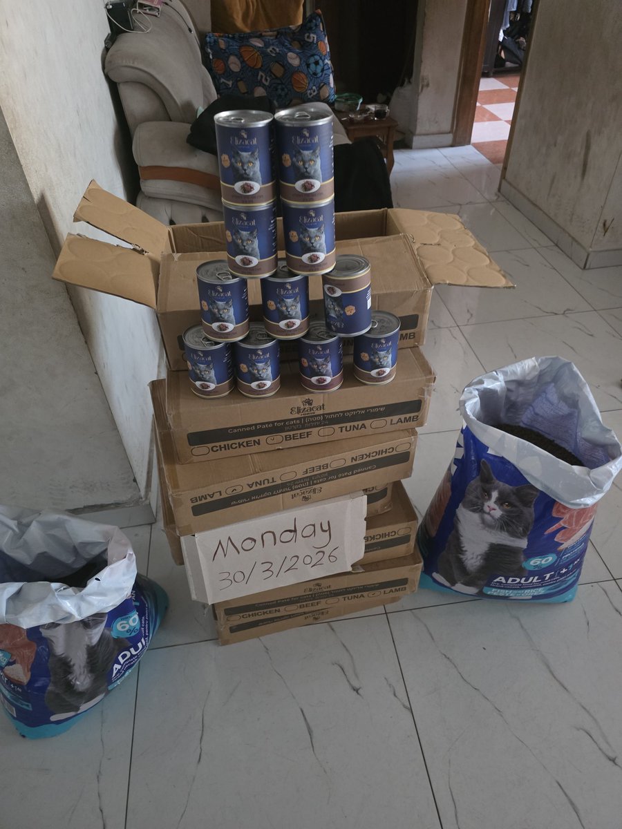 ♥️🇵🇸🇵🇸❤️A lover ♥️of homeless cats😻❤️🌱🌱👍🤗 tweet media