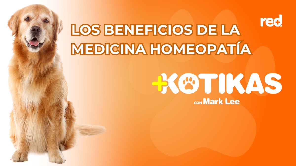 RedMásTV tweet media