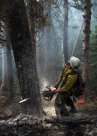 American Conservation Coalition tweet media