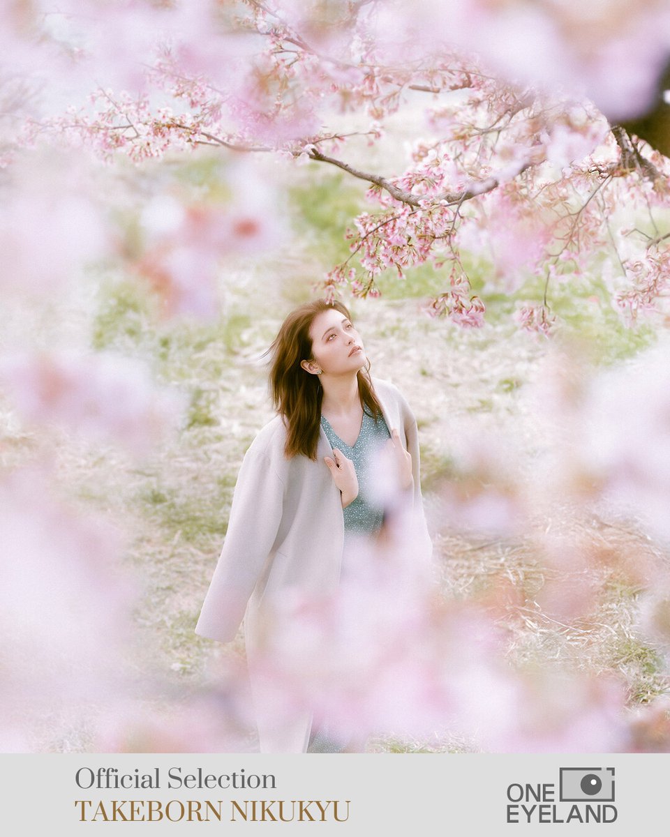 たけぼん🐾 / Takeborn Nikukyu tweet media