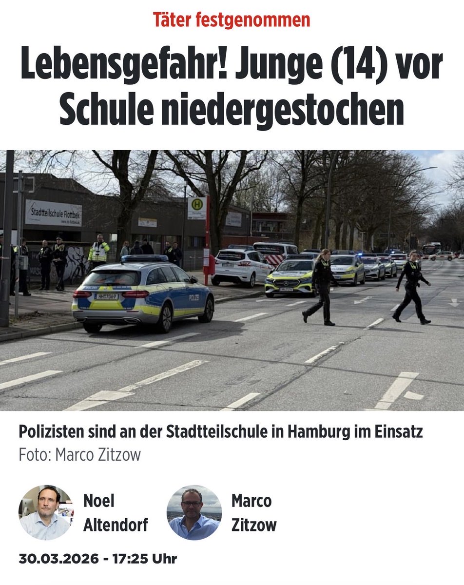 Michael 🇩🇪 tweet media