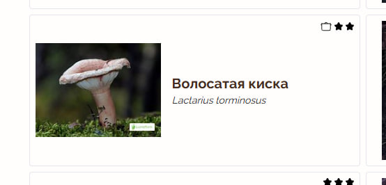 СОЛЯ tweet media