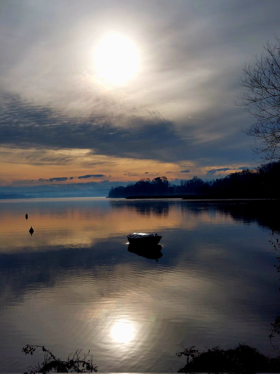 Gaetano Barbagallo tweet media