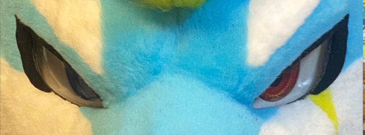 Rai Husky tweet media