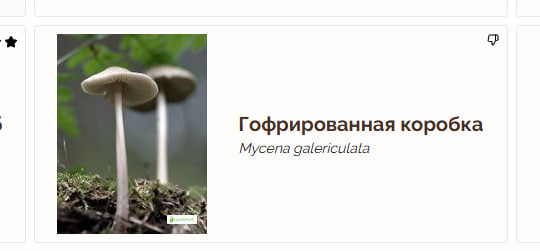 СОЛЯ tweet media