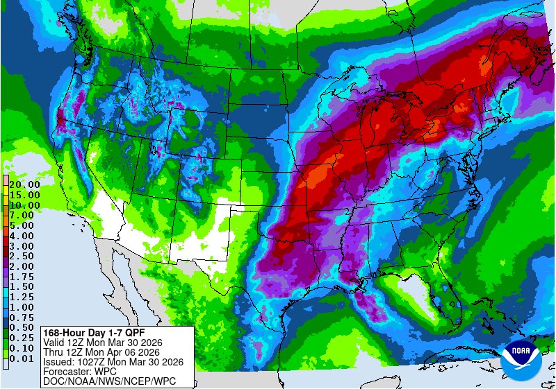 John Stotts tweet media