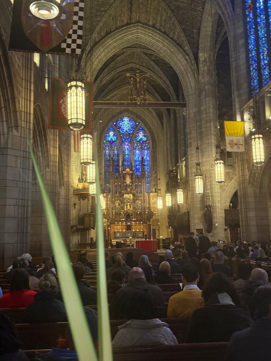 Joan Pitarch de Dalmases tweet media