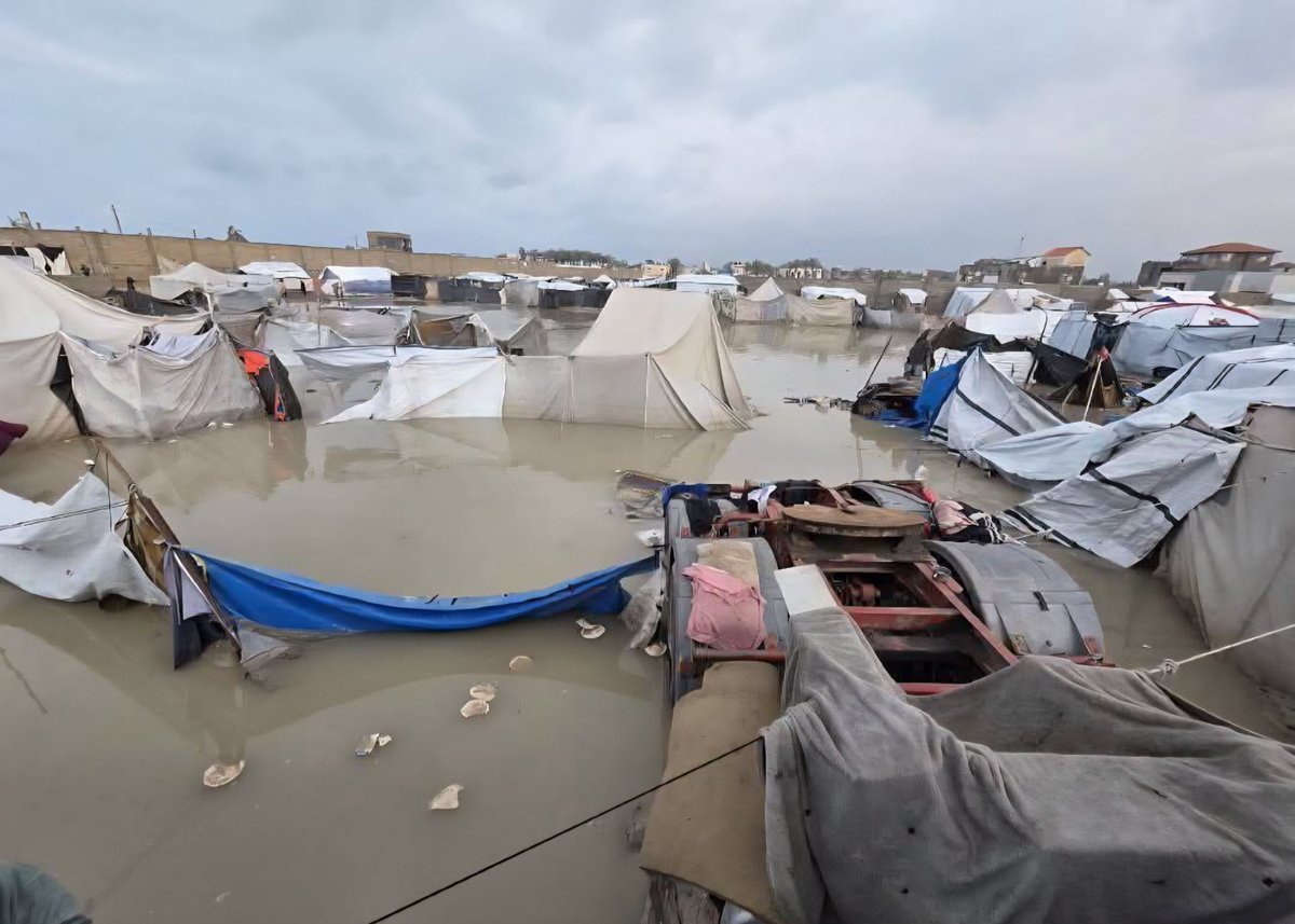 Aline From GAZA 2 🇵🇸💔 tweet media