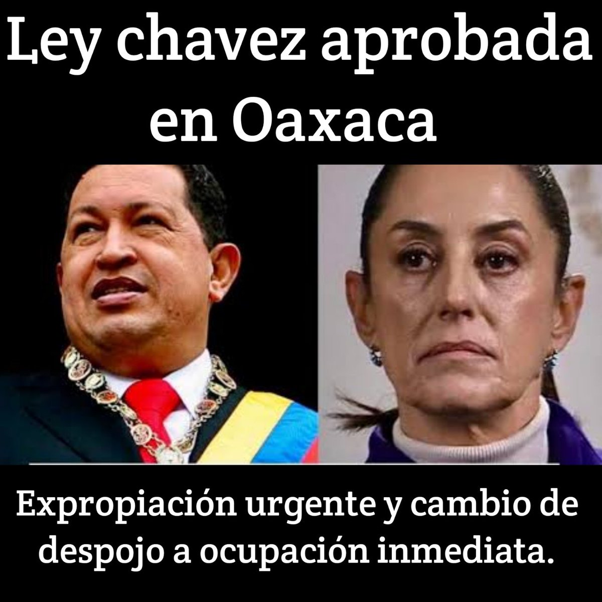 ProcessingBytes tweet media