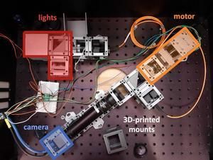 New Phytologist tweet media