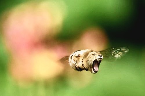 Prime_Mon tweet media