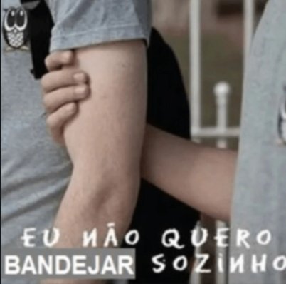 Pinheiro sem pinha tweet media