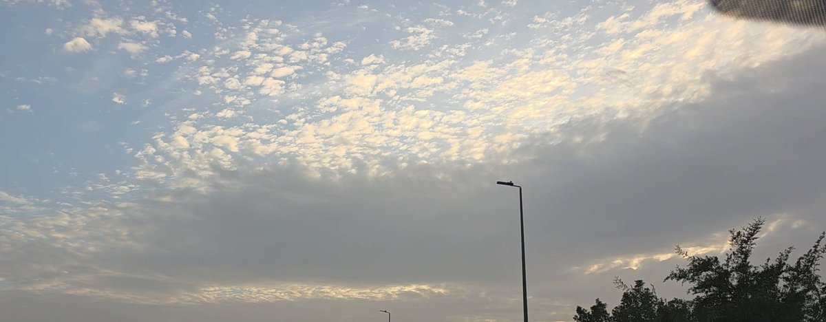 ززز زياد tweet media