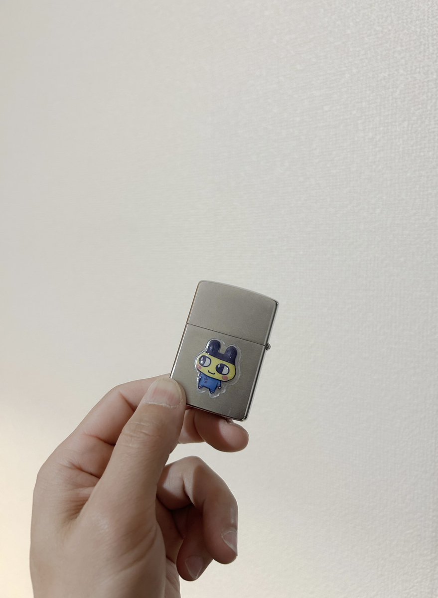 ⍴⌠⎰⊺⍴⊺⌠⏥犬の専門店 tweet media