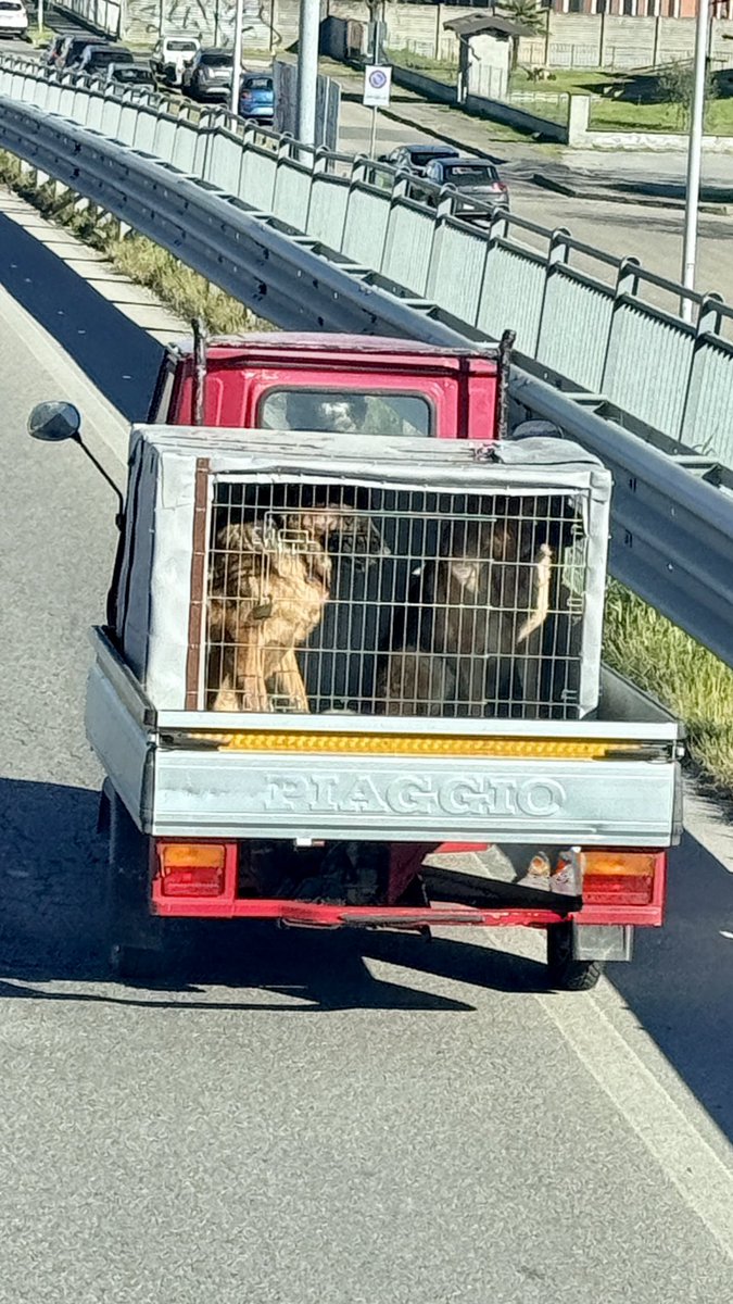 𝓻𝓮𝓪𝓵𝓭𝓪𝓷𝓷𝓷𝓪𝓵𝓮𝓼𝓼𝓪𝓷𝓭𝓻𝓸🐬 tweet media