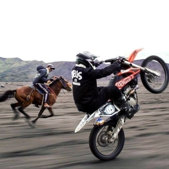 American Conservation Coalition tweet media