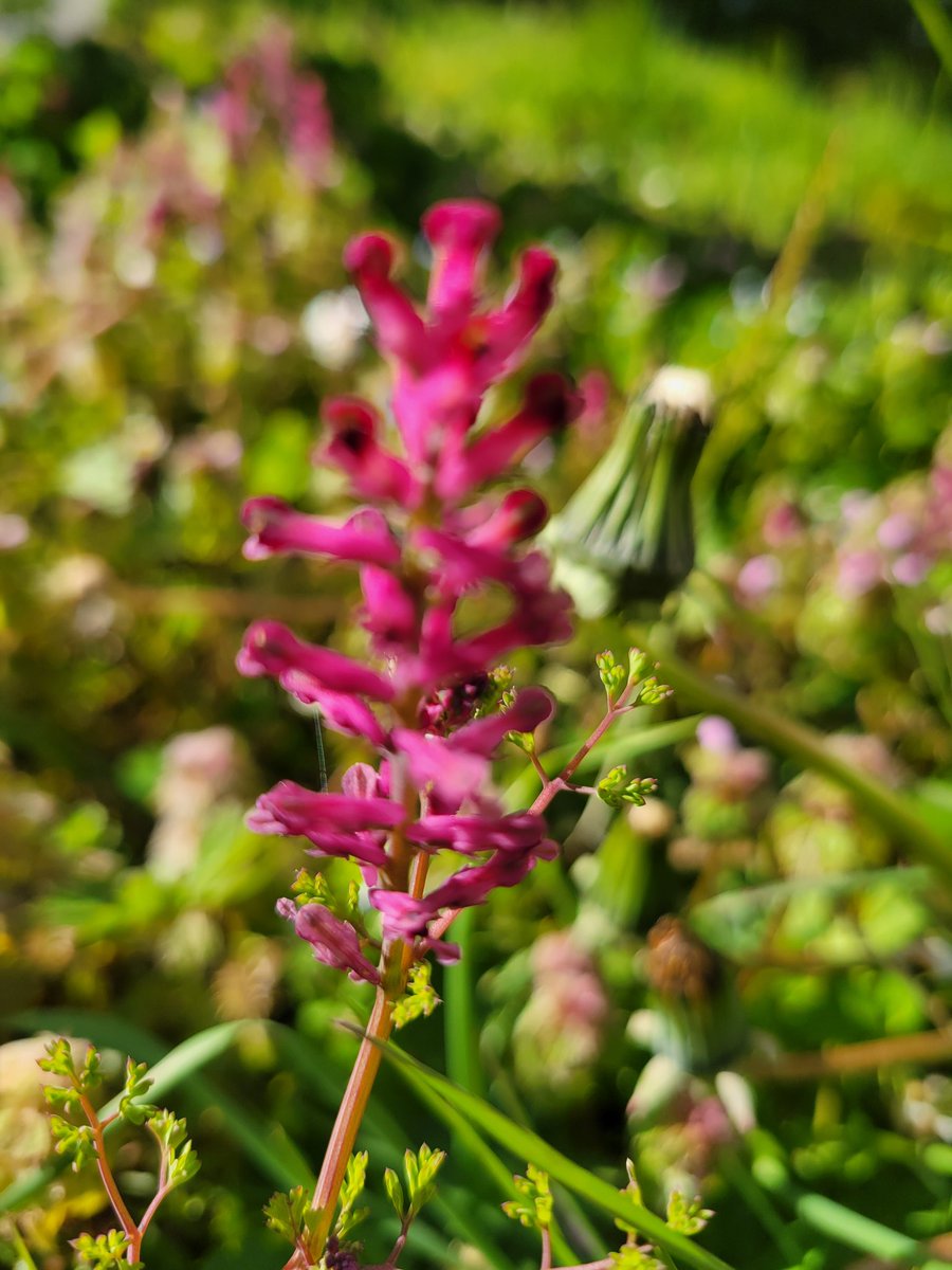 jenny dalle tweet media