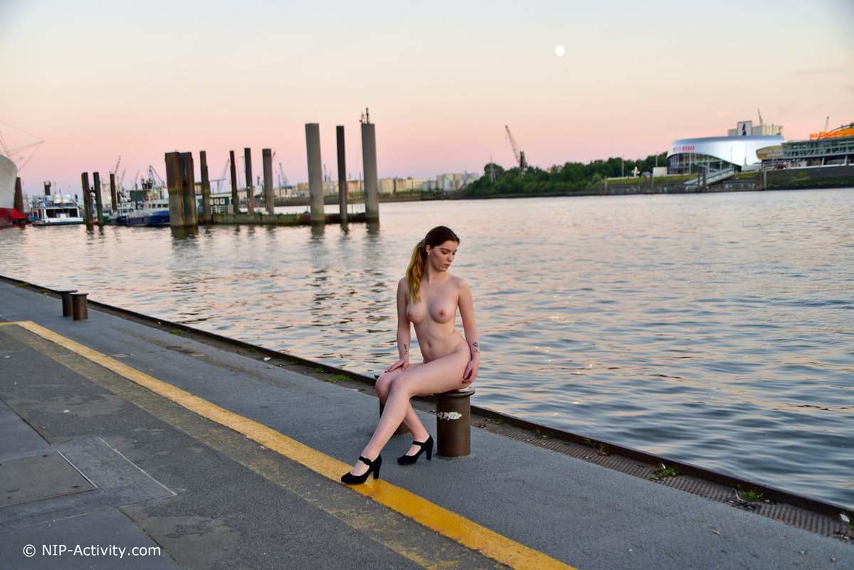 NIP-Activity.com tweet media