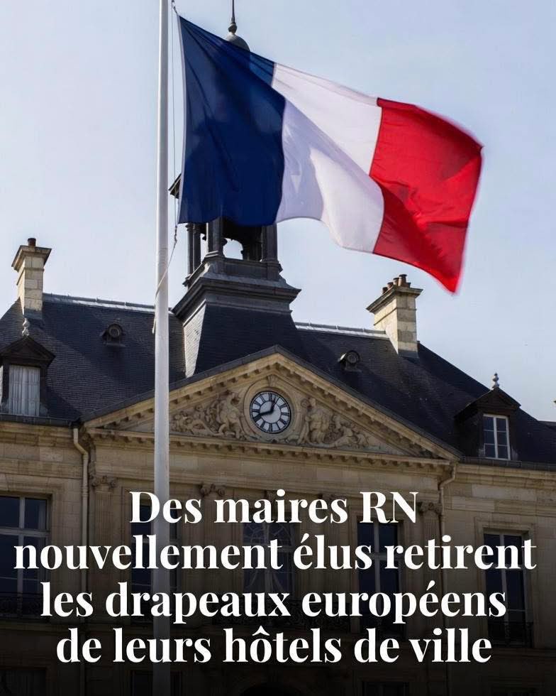 🇫🇷 MissPeel 🇫🇷 tweet media