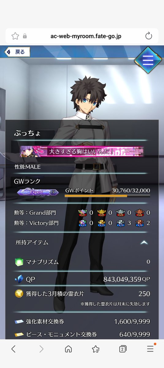 ぷっちょ＠FGOAC tweet media