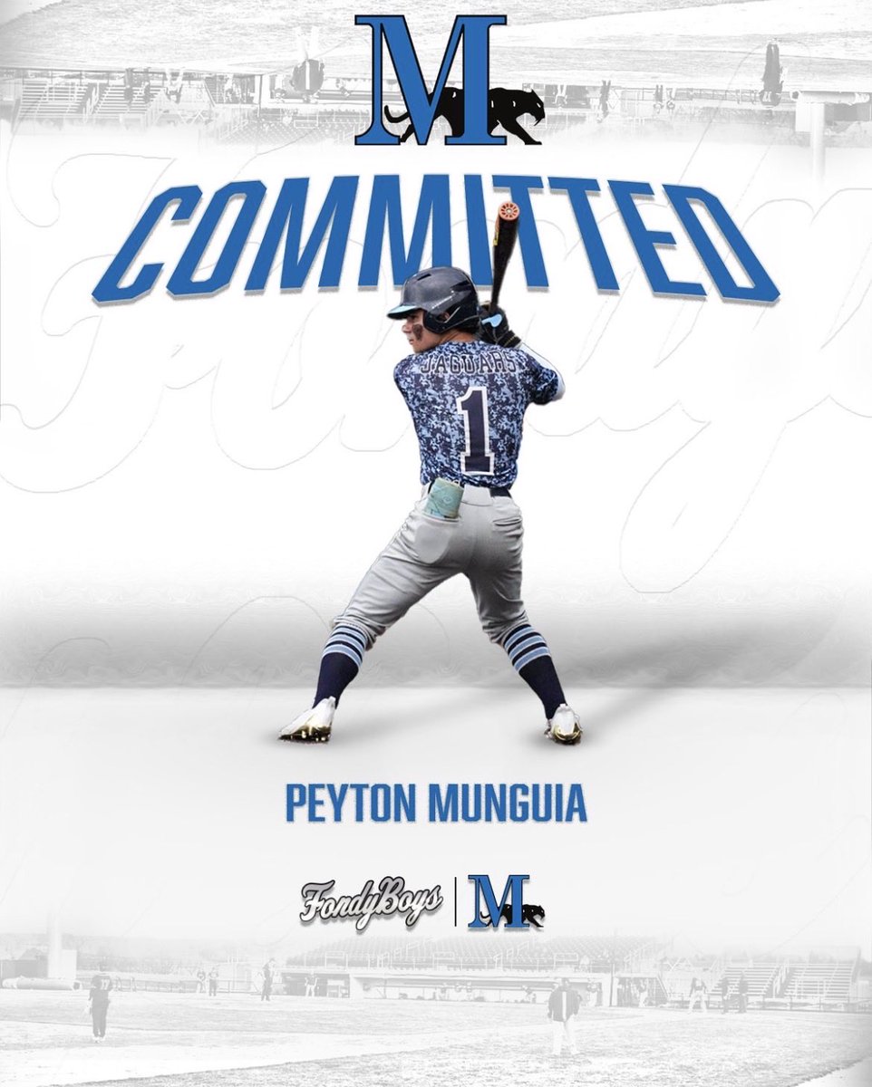 CTJ Baseball tweet media