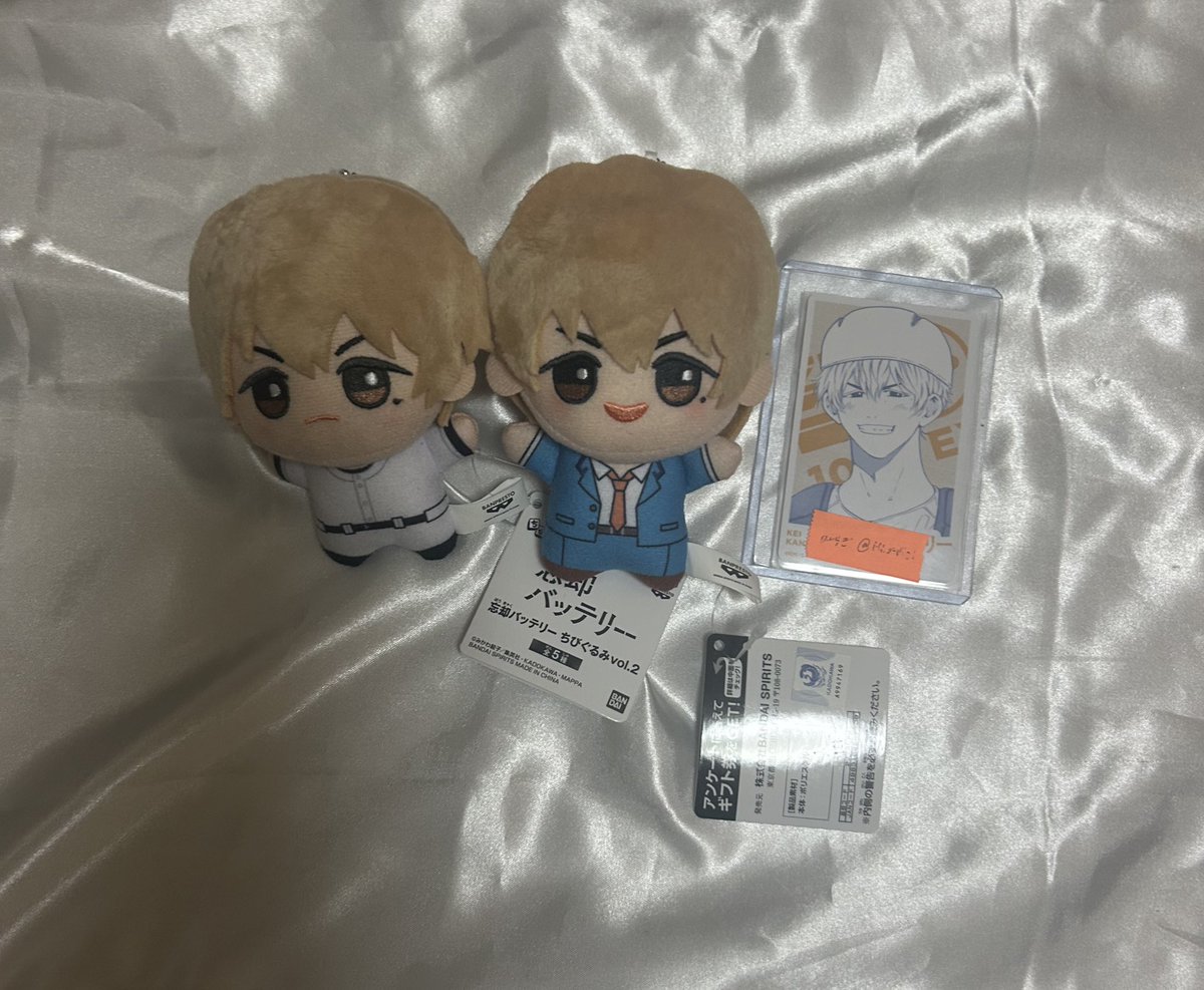 ひいらぎ tweet media