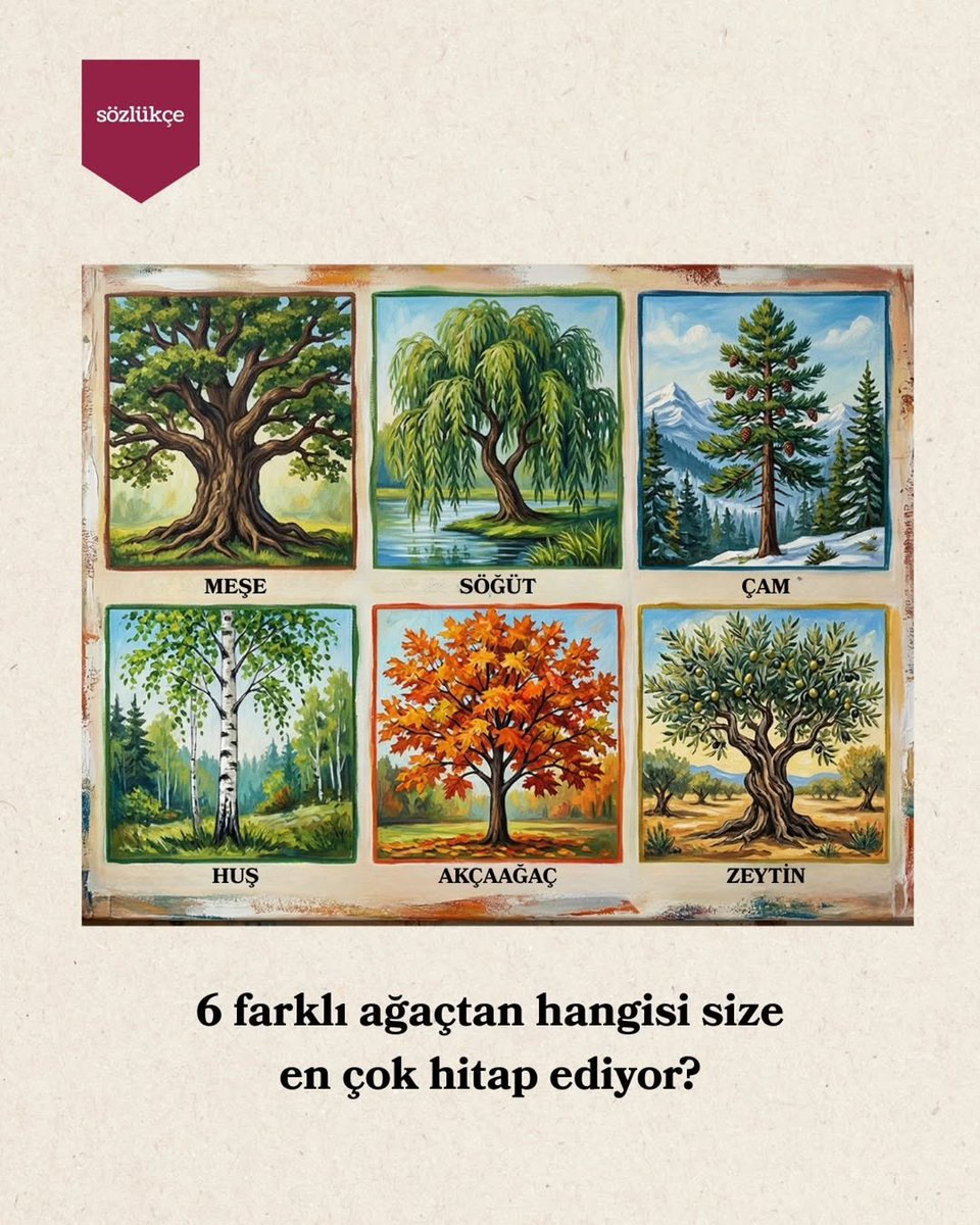 Kitaplardan Alıntılar tweet media