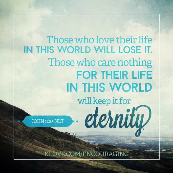 Jim Suttle tweet media