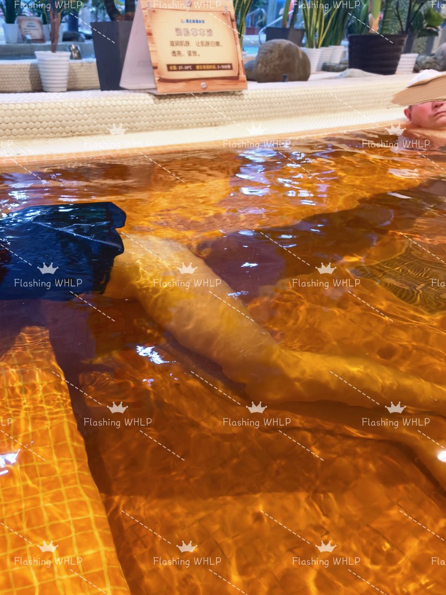 WHLP Gallery tweet media