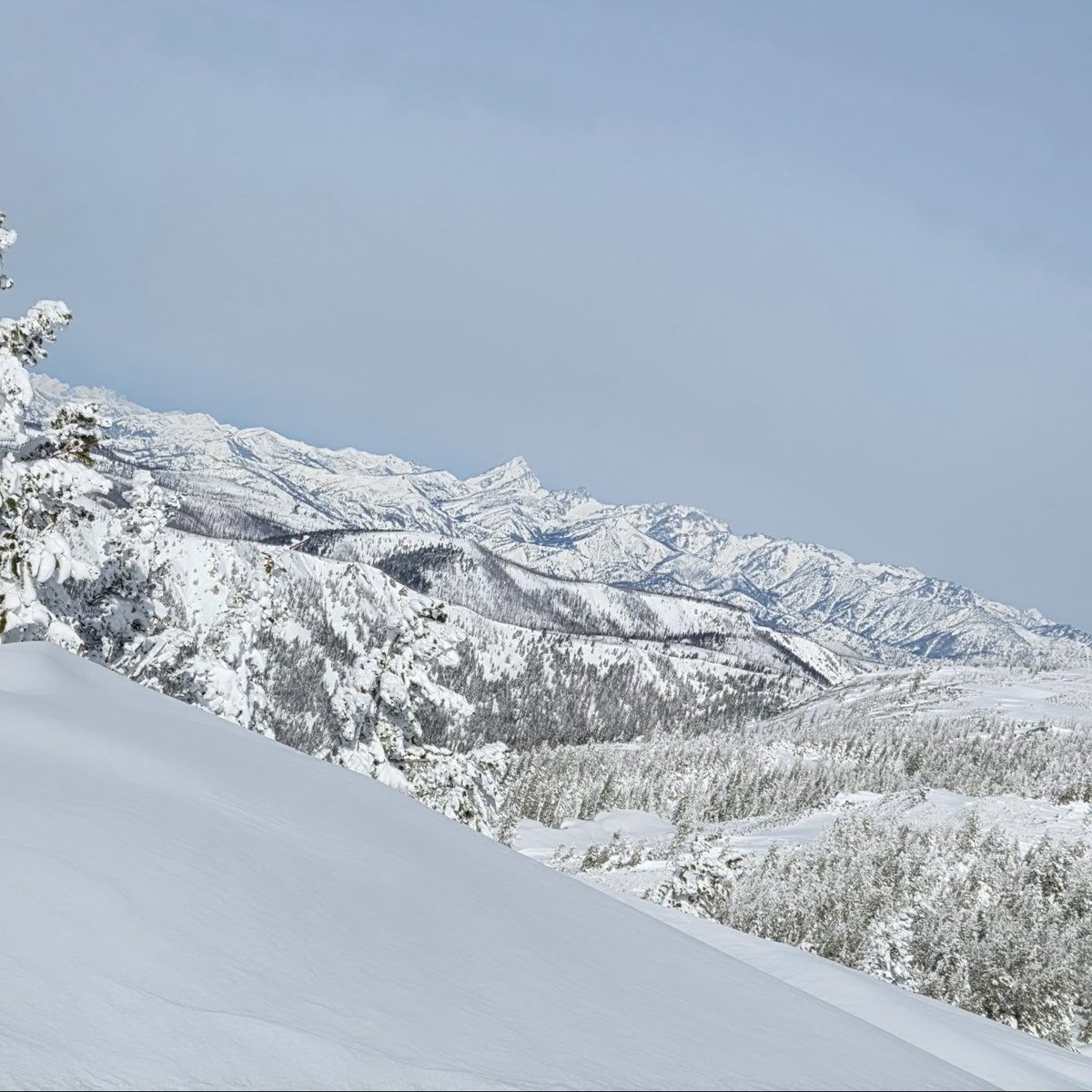 State of Washington Tourism tweet media