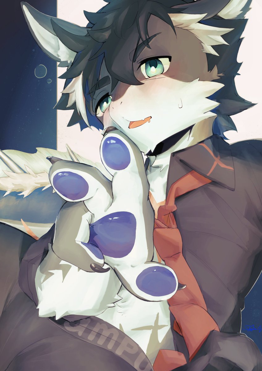 白鮫🦈 tweet media