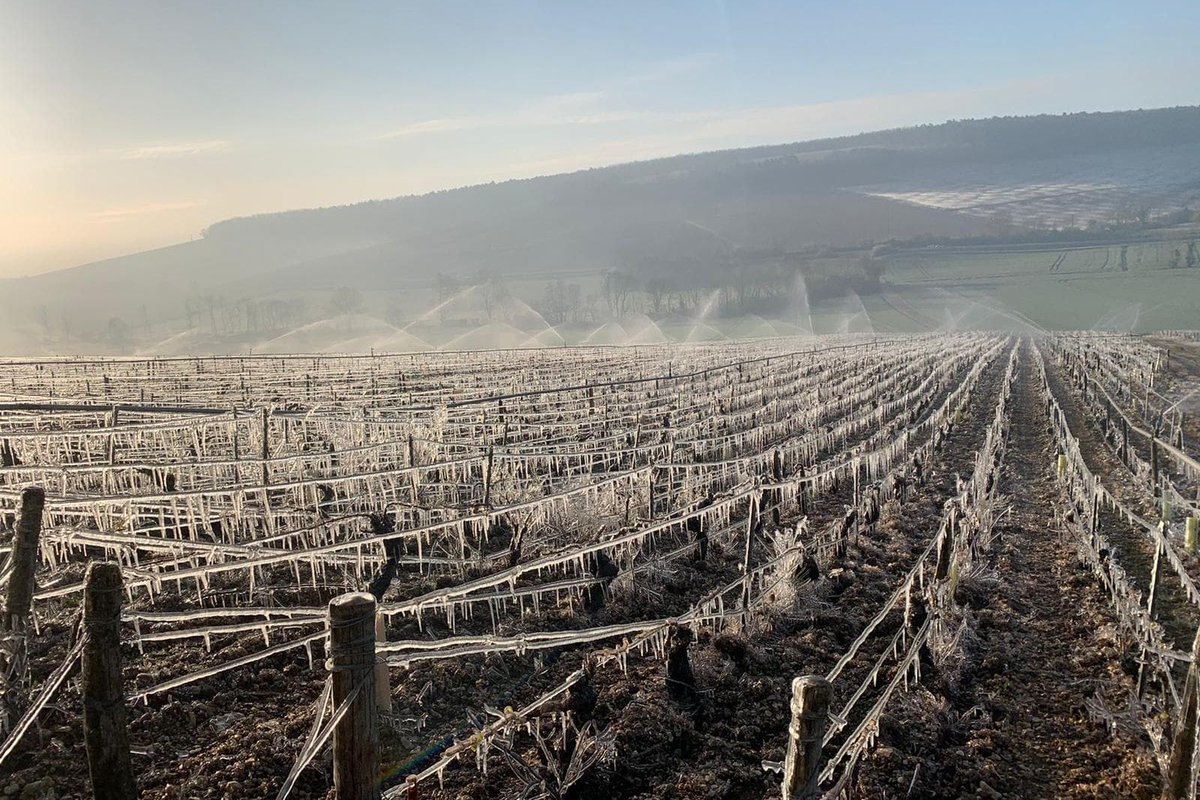 Clément Gaillard, PhD tweet media