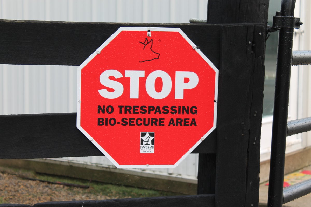 Iowa Pork Industry Center tweet media